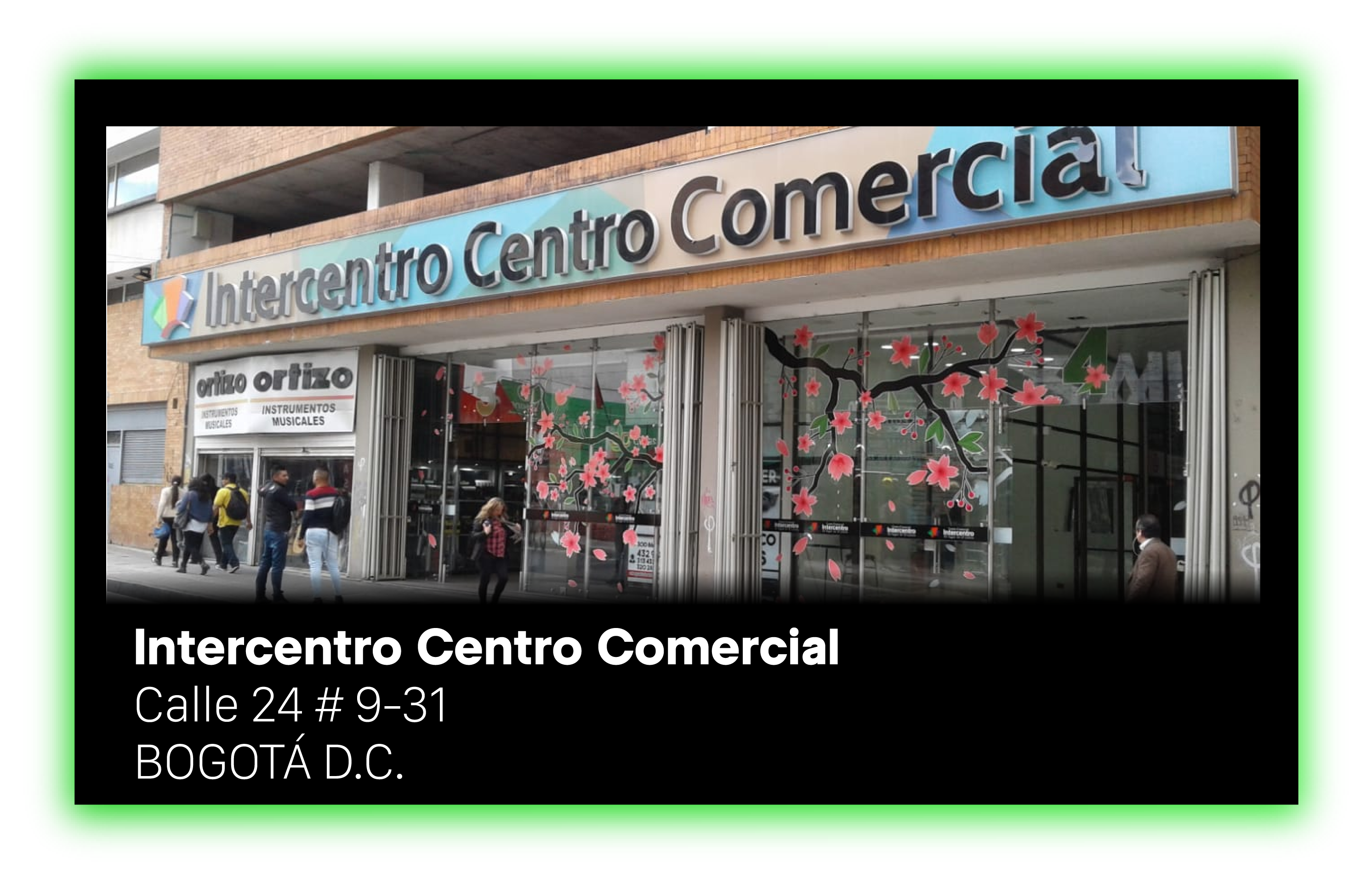 Imagen 2